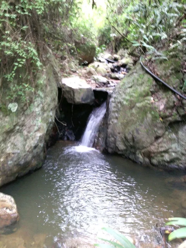 Finca vereda el Apial mini 3