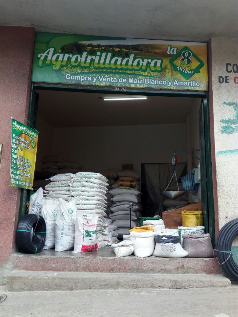 Agrotrilladora La Octava mini 3