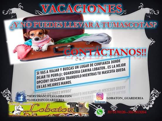 Guardería Lobaton mini 3
