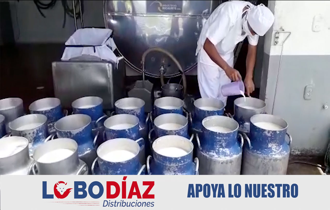Lobo Diaz Distribuciones mini 1