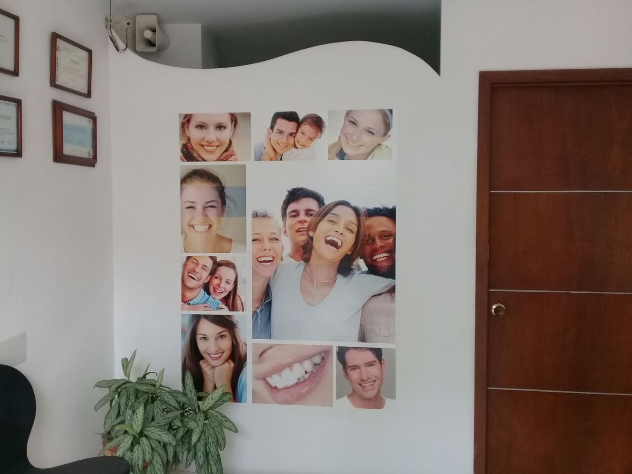 Odontología y Ortodoncia mini 2